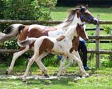 beim Musterungstermin